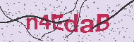 Codice captcha